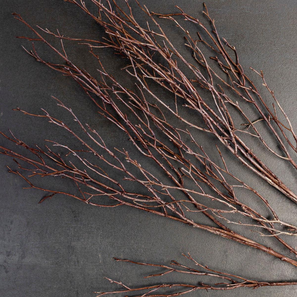 Artificial Birch Branch Stem