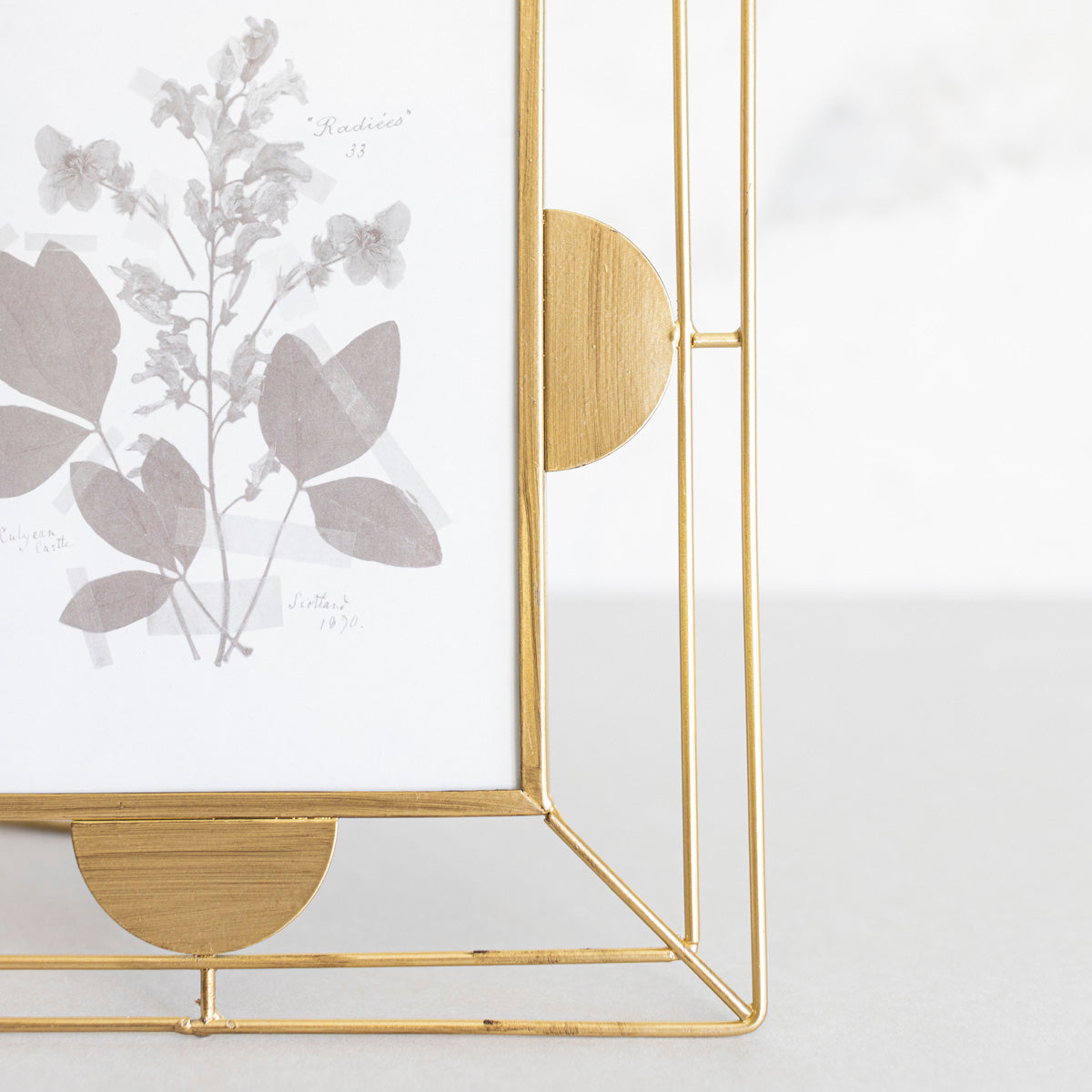 Scallop Frame 5X7