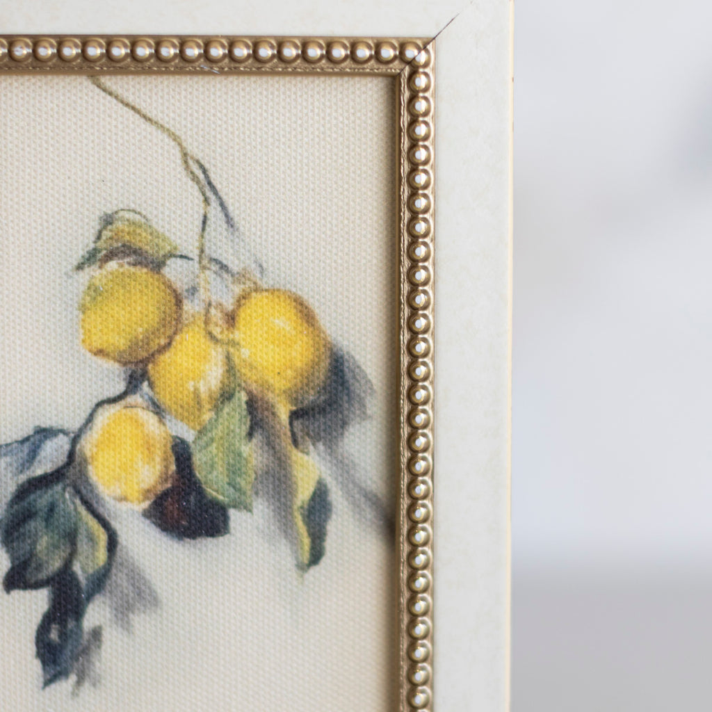 **PRE ORDER** Branch of A Lemon Tree Framed Art 4 x 6