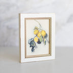 **PRE ORDER** Branch of A Lemon Tree Framed Art 4 x 6
